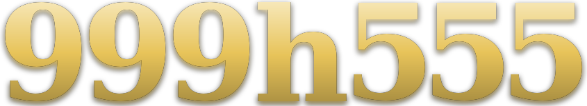999h555 logo